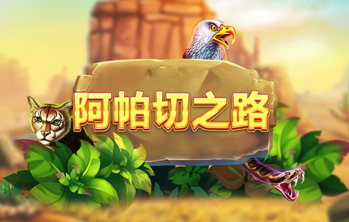 2024新澳正版免费资料大全